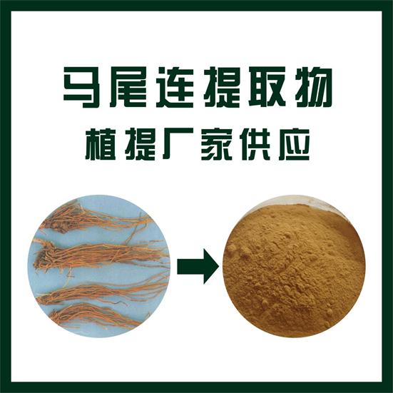 馬尾連提取物,Horsetail extract