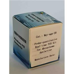 探针法无乳支原体实时定量PCR试剂盒,Probe-quantitative Real-time PCR Kit for Mycoplasma Agalactiae