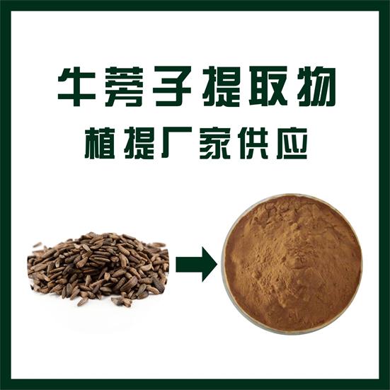 牛蒡子提取物,Arctium lappa L. extract