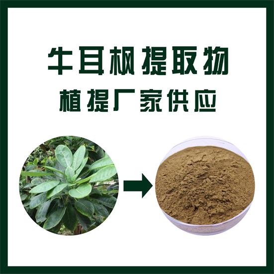 牛耳枫提取物,Acer truncatum extract