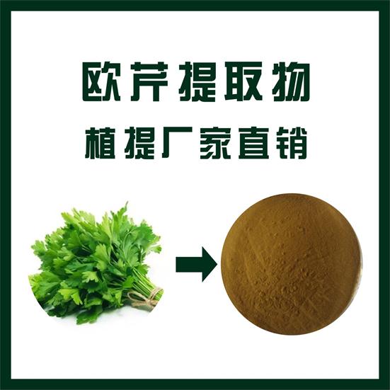 欧芹提取物,Parsley extract