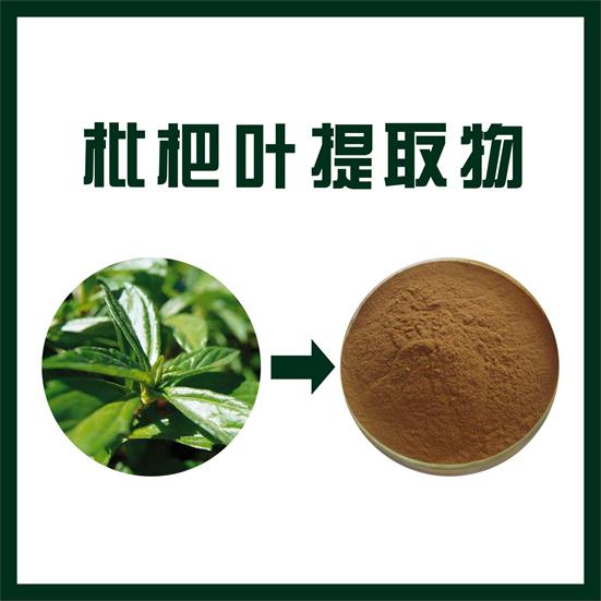 枇杷叶提取物,Loquat leaf extract