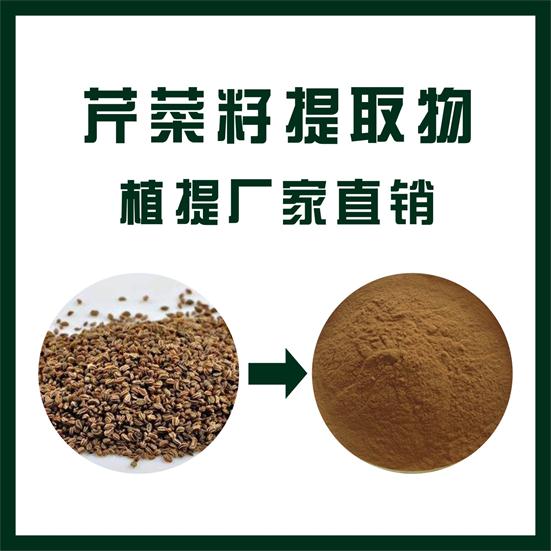 芹菜籽提取物,Celery seed extract