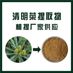 清明菜提取物