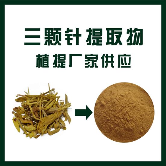 三颗针提取物,Three needles extract