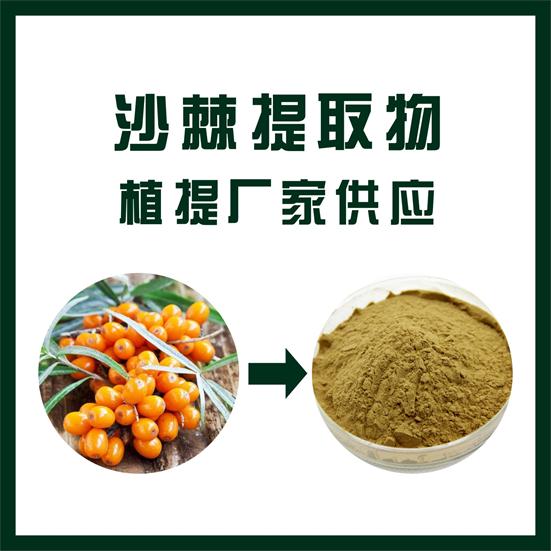 沙棘提取物,Seabuckthorn extract