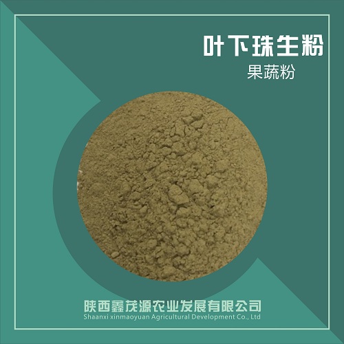 叶下珠粉,Phyllanthus powder