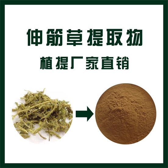 伸筋草提取物,Lycopodium japonicum extract