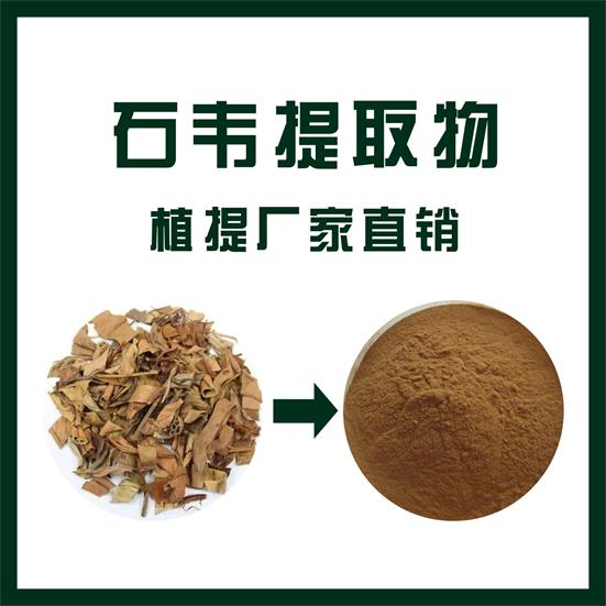 石韦提取物,Japanese felt fern leaf extract