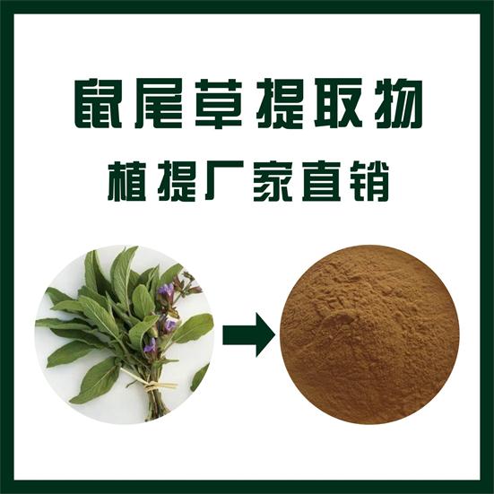 鼠尾草提取物,Sage extract