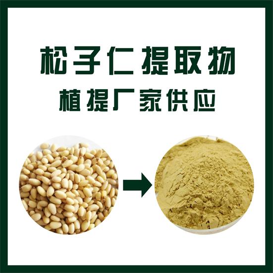 松子仁提取物,Pine nut extract