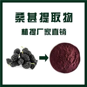 桑葚提取物,Mulberry fruit extract