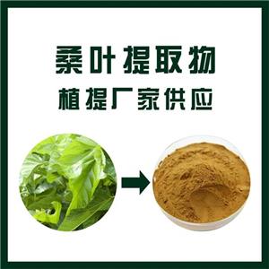 桑叶提取物,Mulberry leaf extract