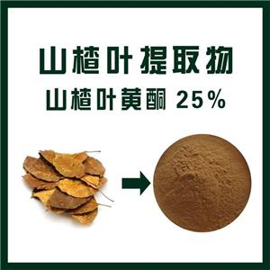 山楂叶提取物,Hawthorn Leaf Extract