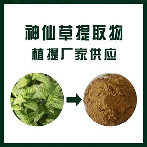 神仙草提取物