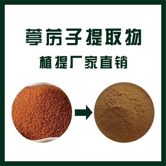 葶苈子提取物,Semen lepidii extract