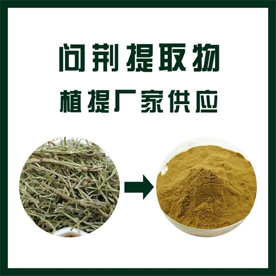 問荊提取物,Horsetail extract