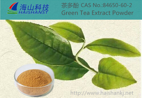 茶多酚；绿茶提取物,Tea Polyphenols