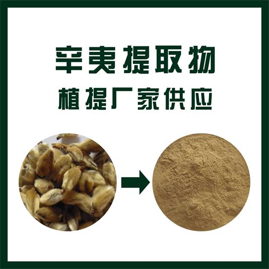 辛夷提取物,Magnolia extract