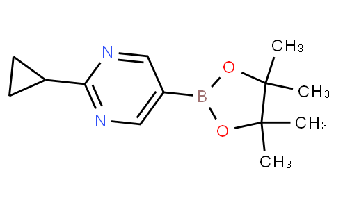 2-环丙基-5-(4,4,5,5-四甲基-1,3,2-二氧硼杂环戊烷-2-基)嘧啶,2-cyclopropyl-5-(4,4,5,5-tetraMethyl-1,3,2-dioxaborolan-2-yl)pyrimidine