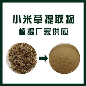 小米草提取物,Millet grass extract