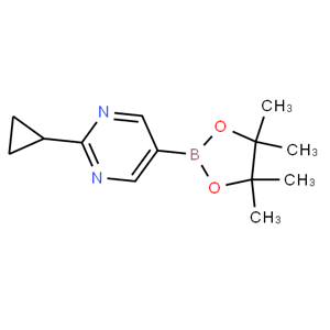 2-环丙基-5-(4,4,5,5-四甲基-1,3,2-二氧硼杂环戊烷-2-基)嘧啶