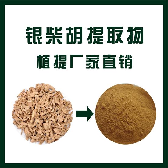 银柴胡提取物,Bupleurum chinense extract