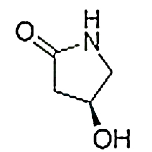 奥拉西坦,(S)-(-)-4-Hydroxy-2-pyrrolidinone