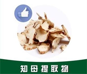 知母提取物,Anemarrhena extract