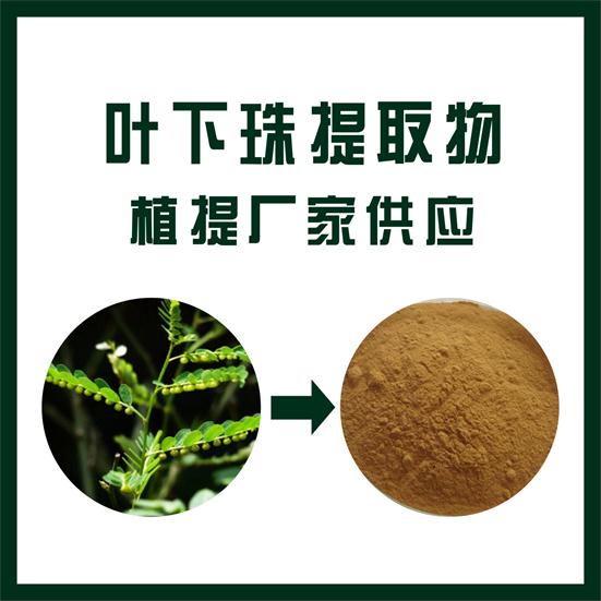 葉下珠提取物,Phyllanthus urinaria extract