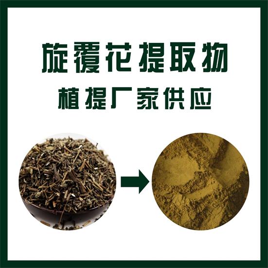 旋覆花提取物,Inula flower extract