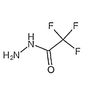 三氟乙酸肼