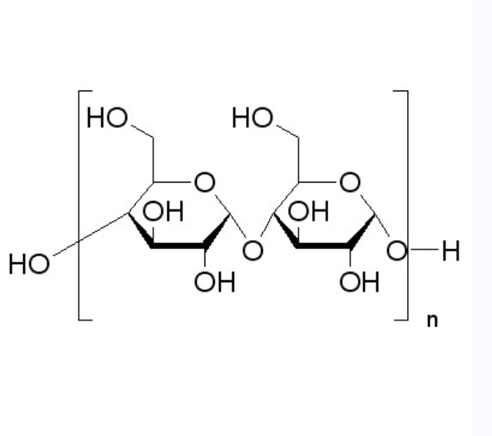 淀粉,Starch