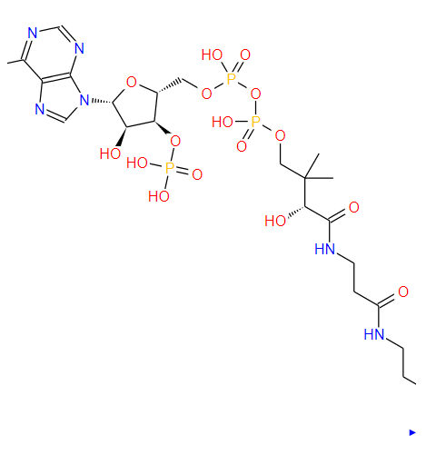 辅酶 A,Coenzyme A