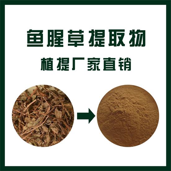 鱼腥草提取物,Houttuynia cordata extract