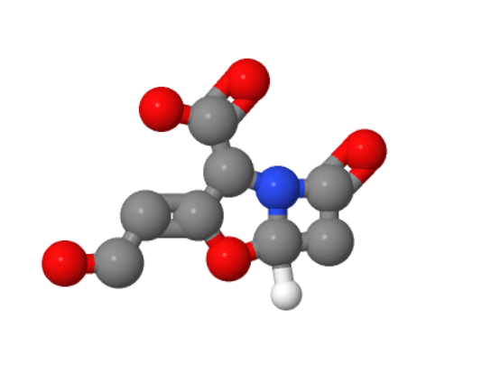 克拉维酸,Clavulanic acid
