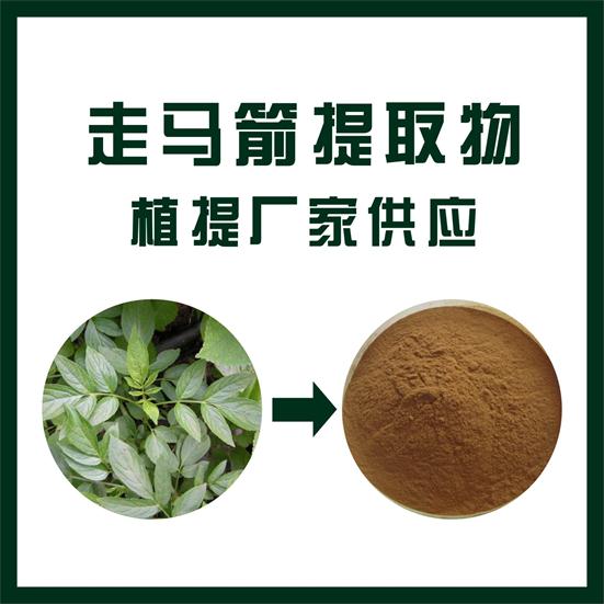 走馬箭提取物,Horse arrow extract