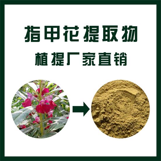 指甲花提取物,Henna extract