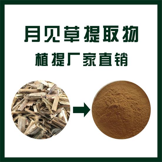 月见草提取物,Evening primrose extract