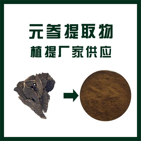 元参提取物,Radix scrophulariae extract