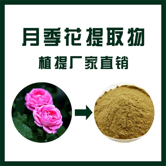 月季花提取物,Chinese roser extract
