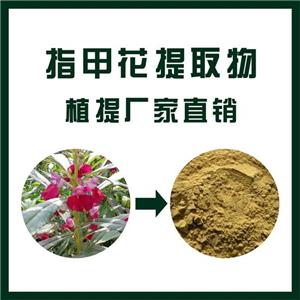 指甲花提取物,Henna extract