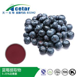 蓝莓提取物,Blueberry extract