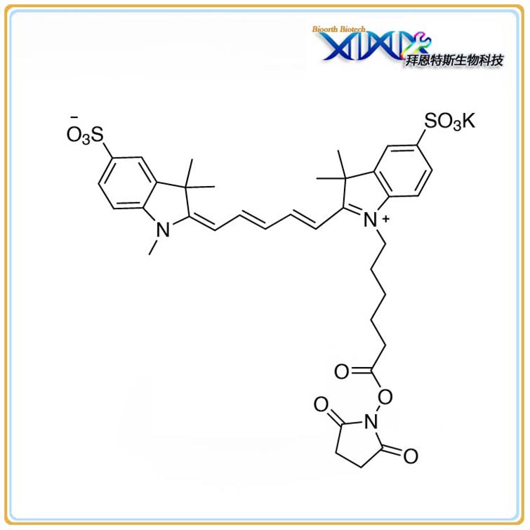 Sulfo-Cy5 NHS Methyl type| Lumiprobe 同款,Sulfo-Cy5 NHS Methyl type | Lumiprobe type