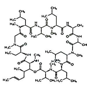 异环孢素杂质A,Iso Cyclosporin A