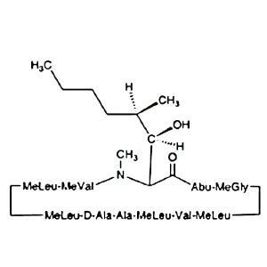 二氢环孢素A,Dihydro Cyclosporin A