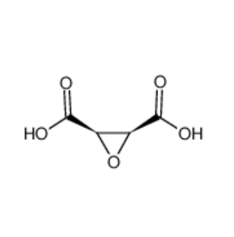 环氧琥珀酸,CIS-EPOXYSUCCINIC ACID
