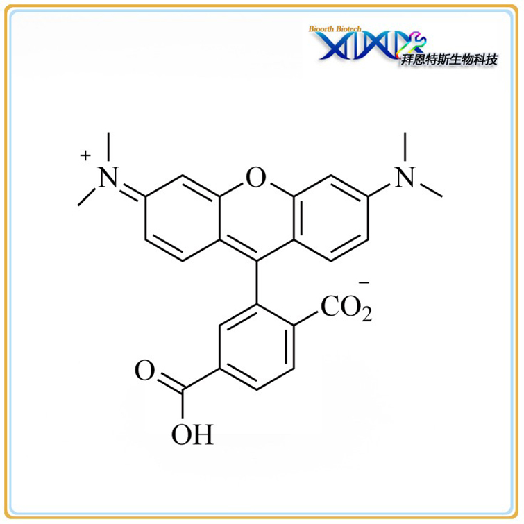 6-羧基四甲基罗丹明,6-TAMRA