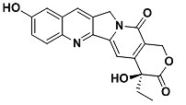 10-羟基喜树碱,10-Hydroxycamptothecin