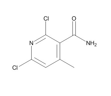 2,6-二氯-4-甲基烟酰胺,2,6-dichloro-4-methylnicotinamide